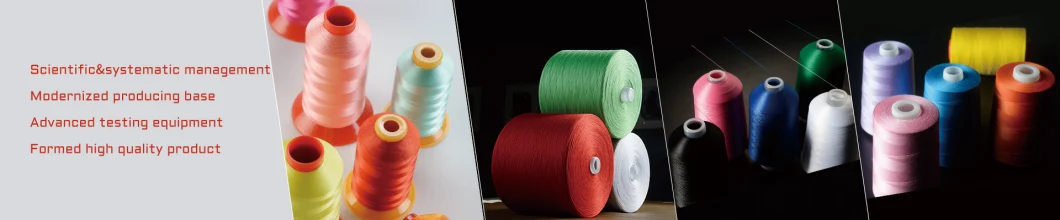 Factory Supplied (OEM/ODM Available) High Quaility 210d/3 Polyester Filament High Tenacity Sewing Thread 500g