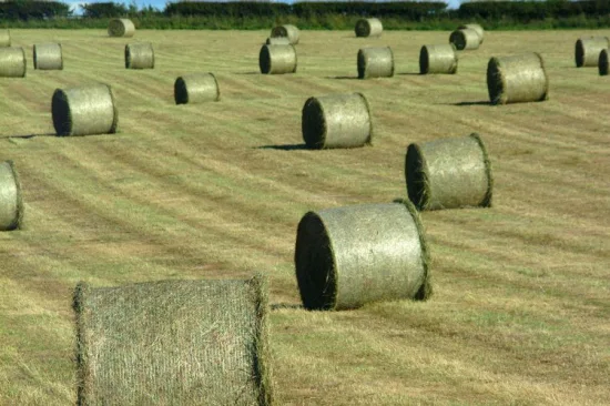 Filet en plastique de 50 cm en rouleau 100%HDPE utilisé pour le filet d'enveloppement de balles de foin d'ensilage de ferme