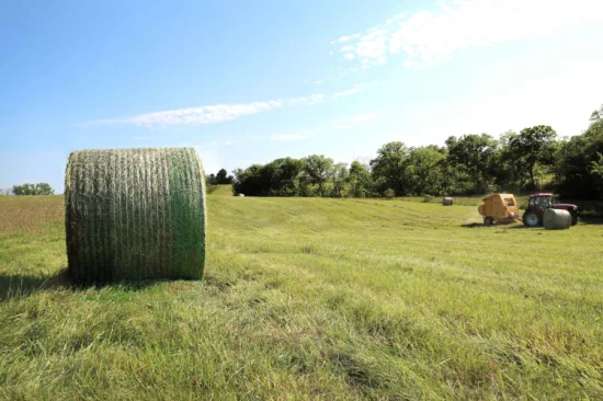 Filet en plastique de 50 cm en rouleau 100% HDPE résistant aux UV utilisé pour l'ensilage de ferme Whtie Filet d'emballage de balles de foin